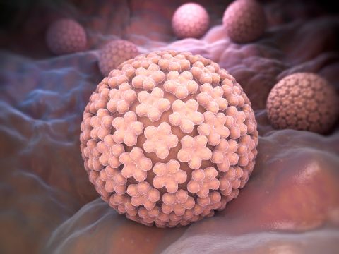 راه های انتقال HPV